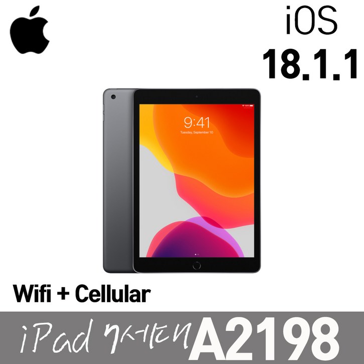 애플 아이패드 7세대 A2198 WifiLTE 셀룰러 32G IOS18.1.1 10.2인치 스페이스그레이, WiFiCellular, 32GB, 스페이스그레이