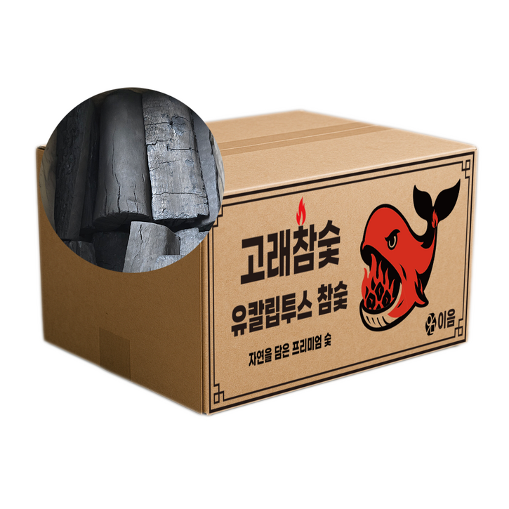 고래참숯 유칼립투스참숯 10kg 1박스, 1박스, 10kg