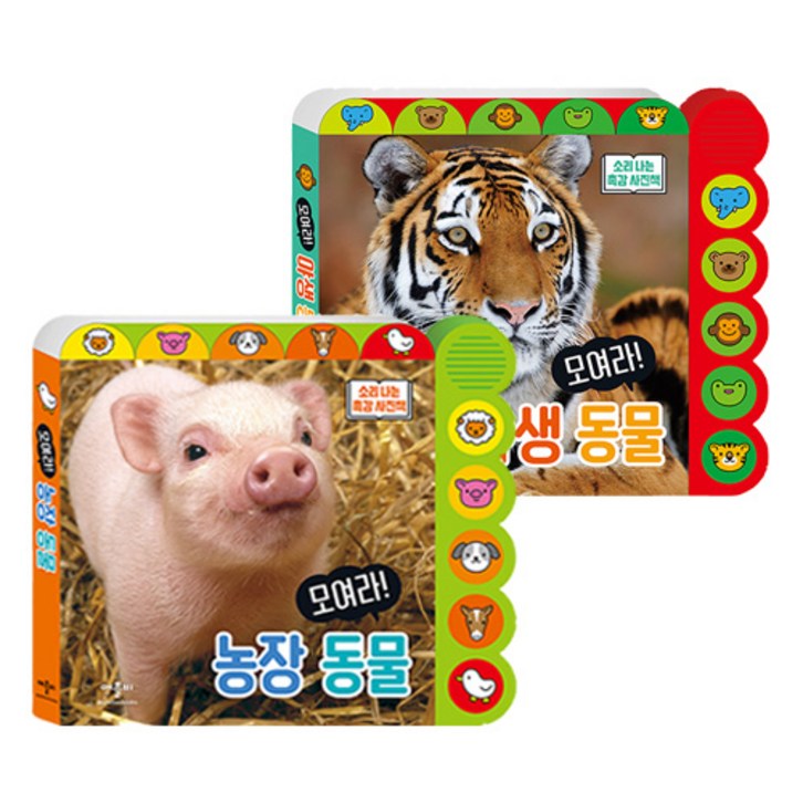 모여라 야생동물 + 농장동물 세트, 애플비 - 쇼핑뉴스