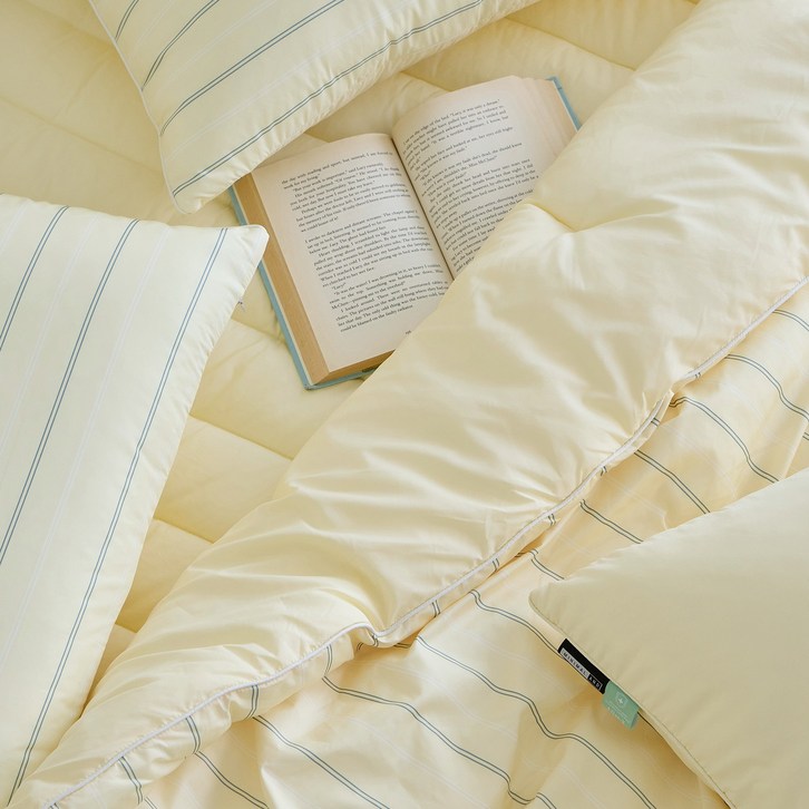 독일 피부과학인증 AllerX 더마 알러지케어 먼지없는 차렵 이불 간절기 가을 사계절 침구 세트