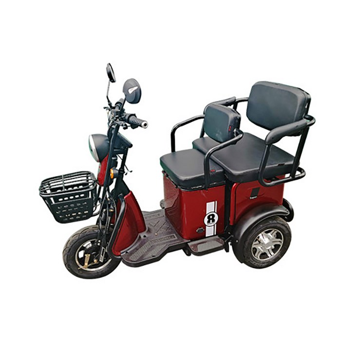 전동차 전동삼륜차 뒷좌석 전기차 노인 600W