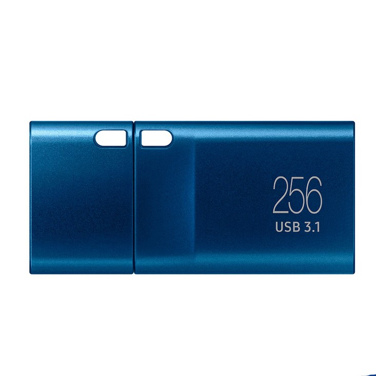 삼성전자 Flash Drive TypeC MUF256DA APC USB 메모리 삼성전자 Flash Drive TypeC MUF256DA APC USB 메모리