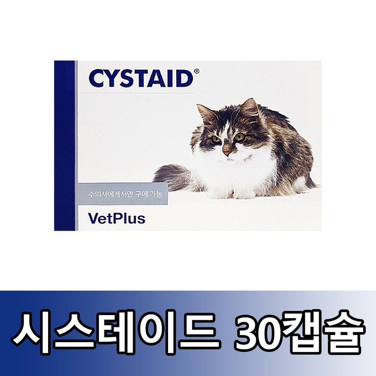 뱃플러스 시스테이드 플러스 고양이 영양보조제 - 투데이밈
