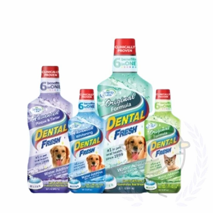 새임 물에 타는 오랄케어 236ML 길고양이구내염