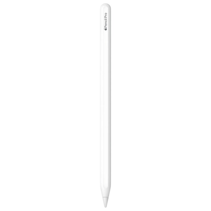 Apple 정품 애플펜슬 프로, 화이트, 1개