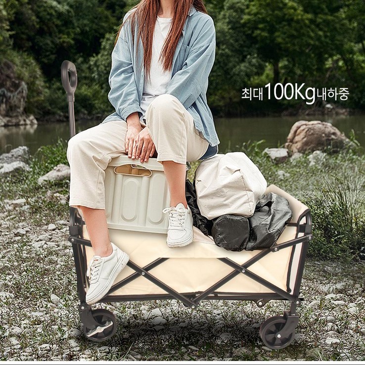 Roomxyd 캠핑웨건 캠핑웨건 대용량 접이식 캠핑카트, 블랙