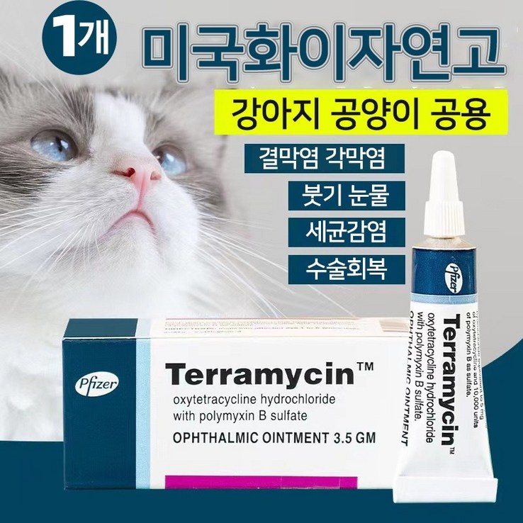 미국수입 Terramycin 반려동물 눈염증연고 강아지 결막염 눈물개선눈건강 5통구입제한 C0352