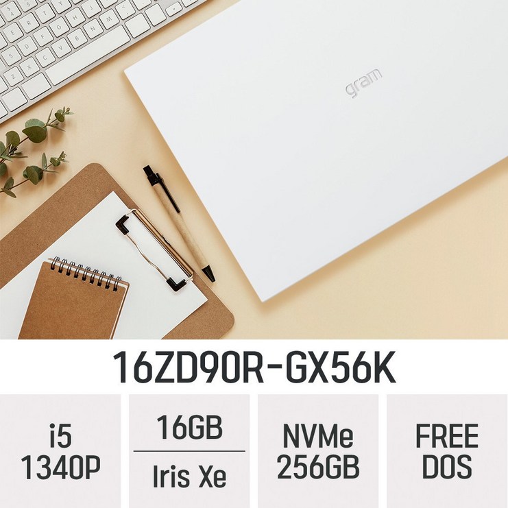 LG전자 2023 그램16 16ZD90RGX56K, 16ZD90RGX56K, Free DOS, 16GB, 256GB, 코어i5, White