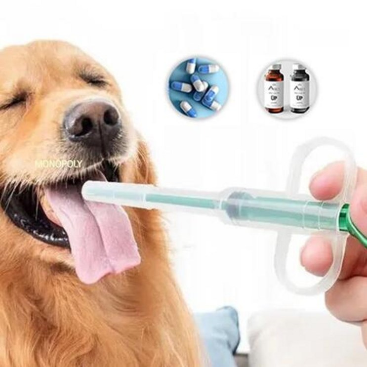 반려동물 강아지 고양이 물약 알약먹이기 투약 댕댕이