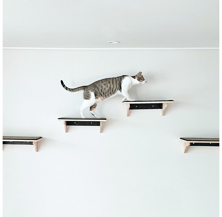 파파냥 스크래쳐 고양이 선반 캣스텝 캣워크 캣워커 11, 2개